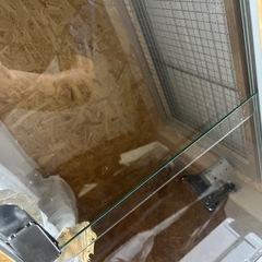 爬虫類 飼育ケージの画像