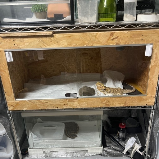 爬虫類 飼育ケージ