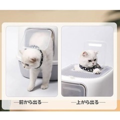 ねこトイレの画像