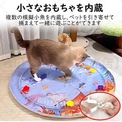 ペットベッド ウォーターベッド 100cm 折りたたみ収納可能の画像