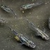 ランキングキーワードに紐づく投稿画像-メダカ