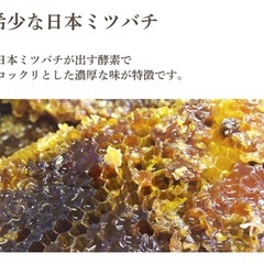 日本ミツバチ純粋垂蜜440gの画像