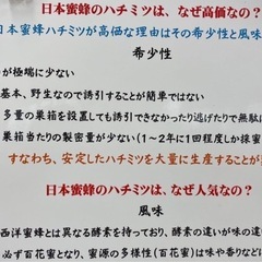 日本ミツバチ純粋垂蜜440g2個の画像