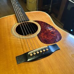 Aria Dreadnought アリア ドレッドノート ケースなしの画像