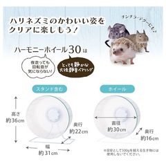 新品　回し車　直径30cm 大きめ　小動物用の画像