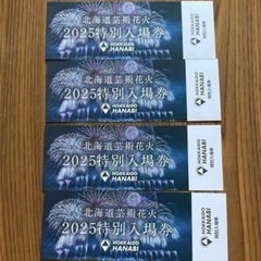 タイムセール　モエレ沼　北海道芸術花火