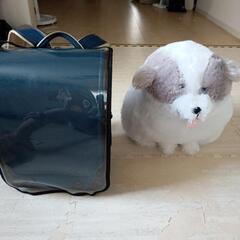 ぬいぐるみの画像