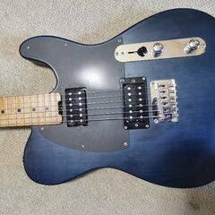 SCHECTER OL-PT-2H-FXD/PBT/RM【中四国九州限定モデル】の画像