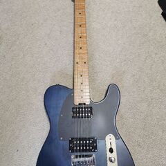 SCHECTER OL-PT-2H-FXD/PBT/RM【中四国九州限定モデル】の画像