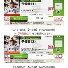 9月26日 （金）阪神甲子園球場 阪神VS中日18:00試合開始 1塁側 アイビーシート 通路側4連番 銀座下 雨天中止時返金あり の画像
