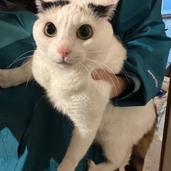 人馴れしました！ワンちゃんと一緒にいます。