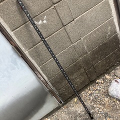物差しの画像