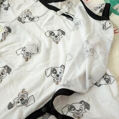 101匹わんちゃん🐾50-60cmの画像
