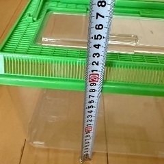 虫かごの画像