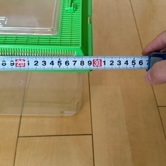 虫かごの画像