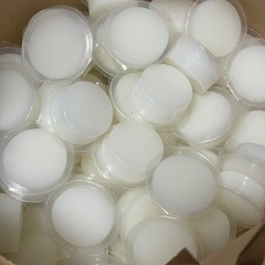 ドルクスオーナーズショップの昆虫ゼリーの画像