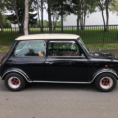 ローバーミニ　1000の画像