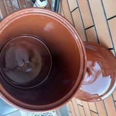 ぬか漬け用？の画像