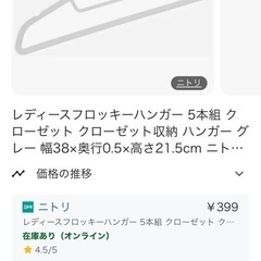 ニトリハンガー　メンズ レディース 計65本 5000円相当の画像