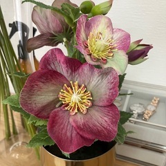 IKEA 造花 2個セット ウェルカムスペース使用 おしゃれ インテリアの画像