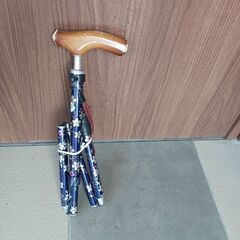 杖　つえ　②の画像