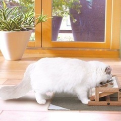 ペット　食事台の画像