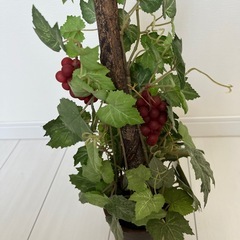 人工植物の画像