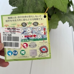 人工植物の画像