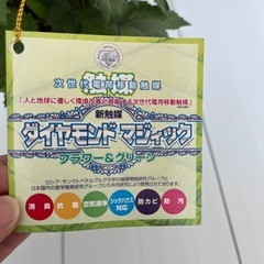人工植物の画像