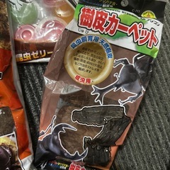 カブトムシ クワガタ 飼育セットの画像