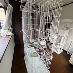 美品！3階建てキャットタワーデオトイレ付きの画像