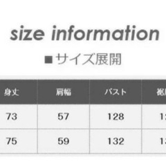 新品　ストライプシャツ　シアーシャツの画像
