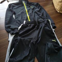 プーマ　トレーニングウェア上下の画像
