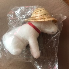 ソフトバンク犬、未開封の画像