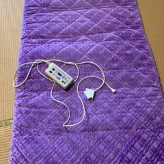 温熱　電位治療　敷布団　ロイヤルドリーム21の画像