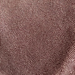 着物3点の画像