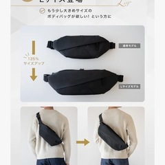 SAFASS（セイファス）機能強化モデル Lサイズの画像