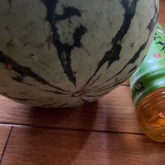 スイカの画像