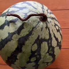 スイカの画像