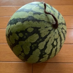 スイカの画像