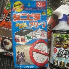 カブトムシ クワガタ 飼育セットの画像