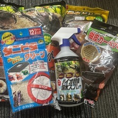 カブトムシ クワガタ 飼育セットの画像