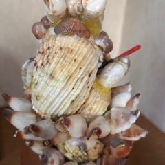 貝殻🐚でできたシーサーの置物の画像