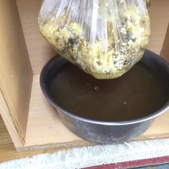1)日本ミツバチ純粋垂蜜440g3個の画像