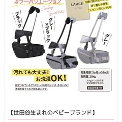 収納力抜群、重さを分散できるヒップベルトの画像