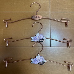 Salute ハンガーの画像