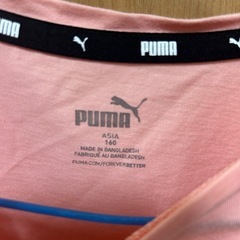 puma tシャツの画像