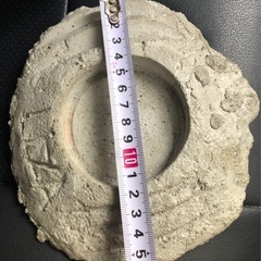 爬虫類　餌皿　水入れ
の画像