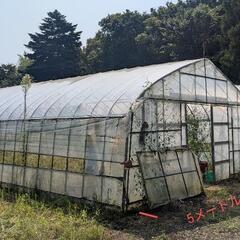 ビニールハウスの骨組み 4棟分の画像
