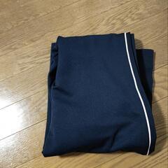 中古品 ディスカス ジャージの画像